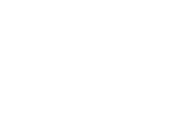ct-footer-logo